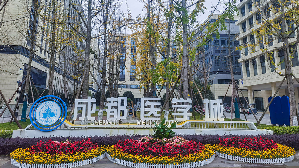 1763972891673.jpg 1.jpg