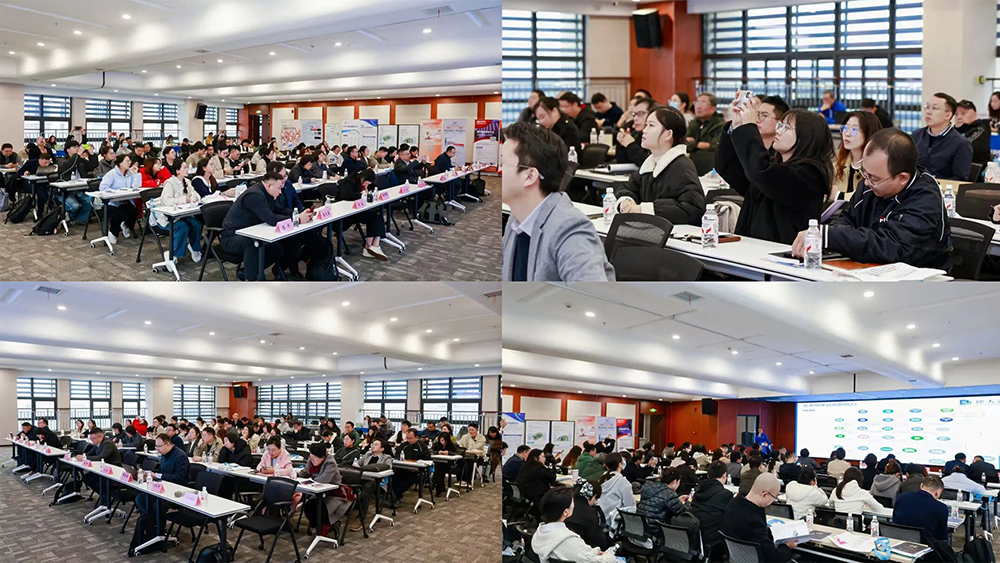 1763972907418.jpg 10.jpg